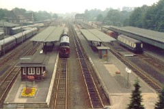 Flensburg, August 1981